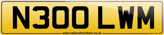 N300 LWM