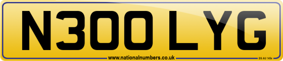 N300 LYG