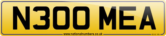 N300 MEA