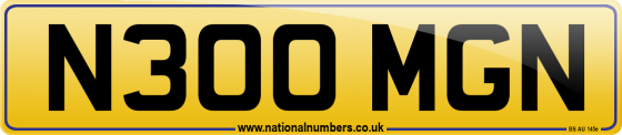 N300 MGN