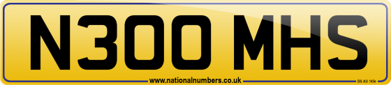 N300 MHS