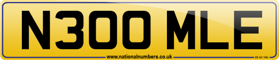N300 MLE
