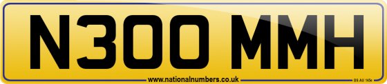 N300 MMH
