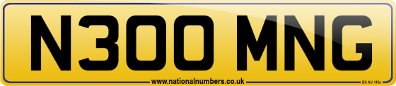 N300 MNG