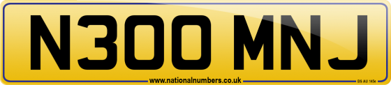 N300 MNJ