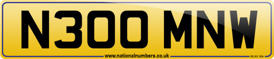 N300 MNW