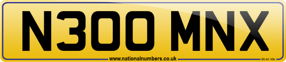 N300 MNX