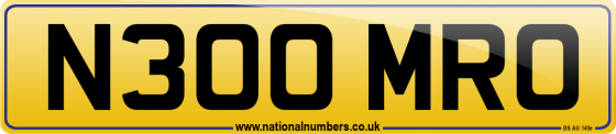 N300 MRO