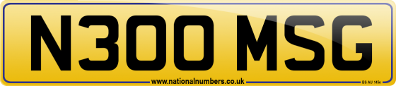 N300 MSG