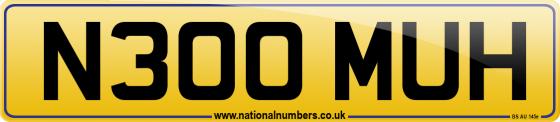 N300 MUH