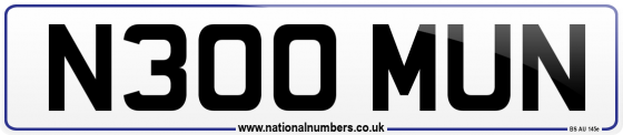 N300 MUN