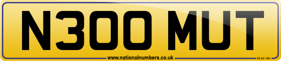 N300 MUT