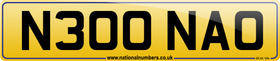 N300 NAO