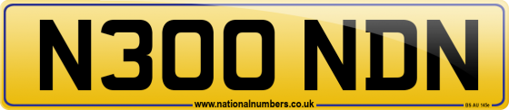 N300 NDN