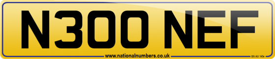 N300 NEF