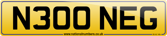 N300 NEG