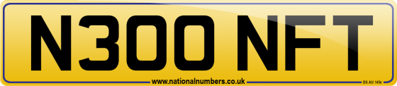 N300 NFT