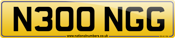 N300 NGG