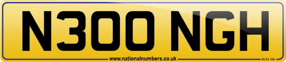 N300 NGH