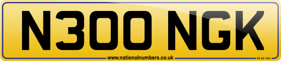 N300 NGK