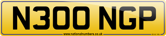 N300 NGP