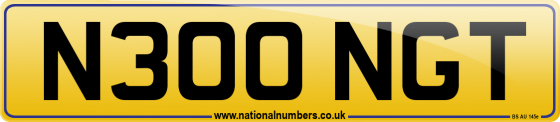 N300 NGT