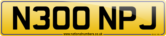 N300 NPJ