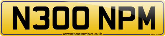 N300 NPM