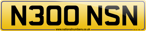 N300 NSN