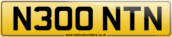 N300 NTN