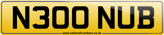 N300 NUB