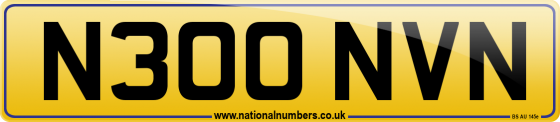 N300 NVN
