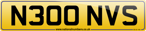 N300 NVS