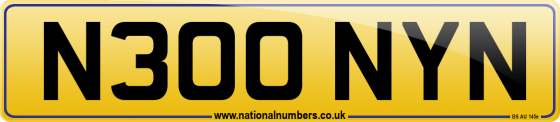 N300 NYN