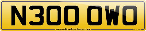 N300 OWO