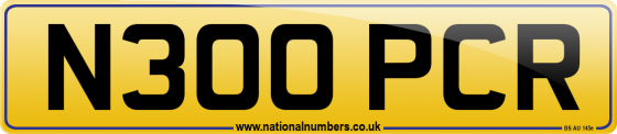 N300 PCR