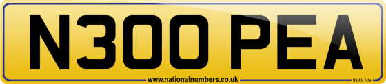 N300 PEA