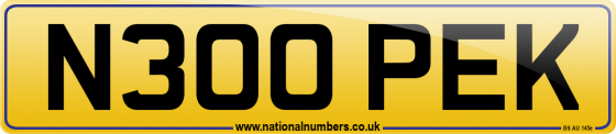 N300 PEK