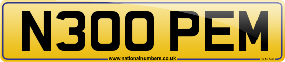 N300 PEM