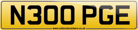 N300 PGE