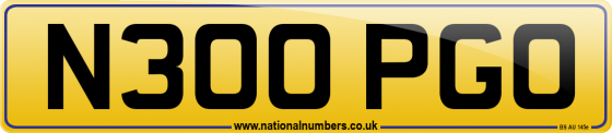 N300 PGO