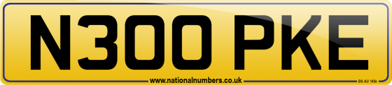 N300 PKE