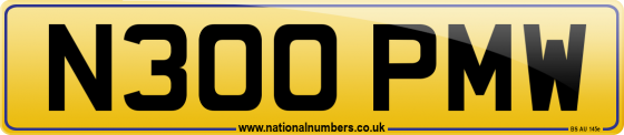 N300 PMW