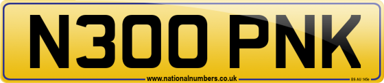 N300 PNK