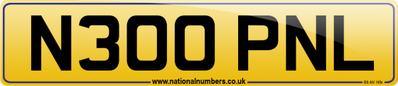 N300 PNL