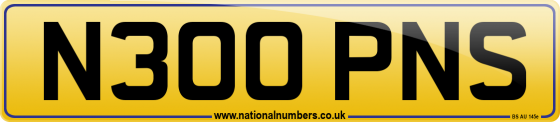 N300 PNS