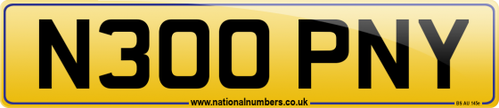 N300 PNY