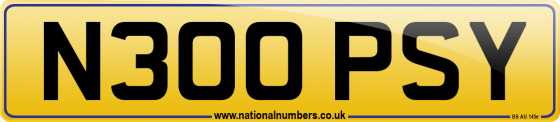 N300 PSY