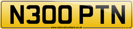 N300 PTN