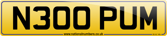 N300 PUM